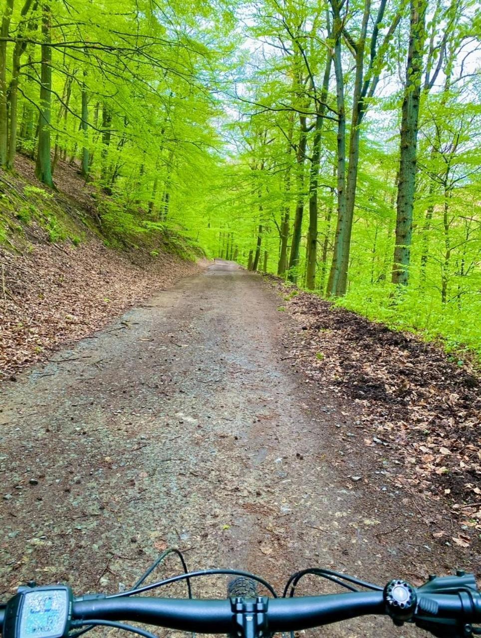 Exklusiver Rueckzugsort Mit Sauna In Der Natur! Nachrodt-Wiblingwerde Εξωτερικό φωτογραφία